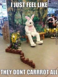 They Don't Carrot All Meme Template