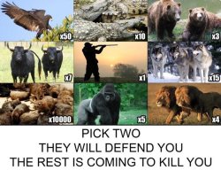 PICK TWO THEY WILL DEFEND YOU THE REST IS COMING TO KILL YOU Meme Template
