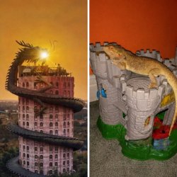 epic dragon vs toy dragon Meme Template