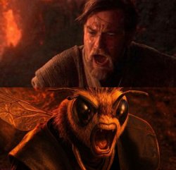 Bee anakin Meme Template