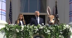 Trump Easter Bunny Meme Template