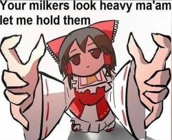 Your milkers look heavy maam Meme Template