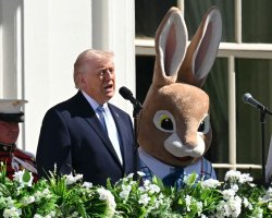 Trump Easter 2026 Rabbit Bunny Meme Template