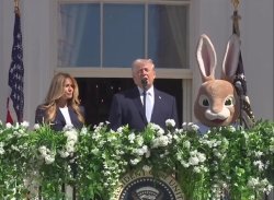 Easter Trump Meme Template