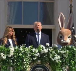 Easter Egg Roll Meme Template