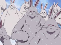 One Piece Bunnies Meme Template