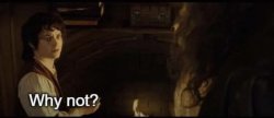 Why not? Meme Template