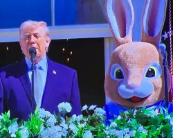 Bunny Meme Template