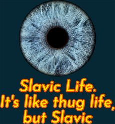 Slavic Life. It's like thug life, but Slavic Meme Template