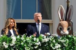 Bunny Trump Meme Template