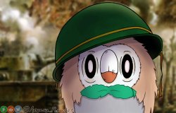 Rowlet stare Meme Template