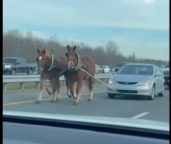 Finanzamt hasst diesen Trick Meme Template