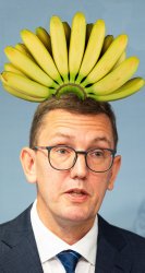 Ministry of banana public Meme Template