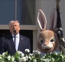 Happy Bridgeaster Meme Template