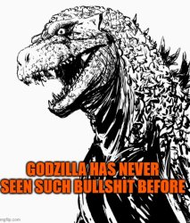Godzilla has never seen such bullshit before Meme Template