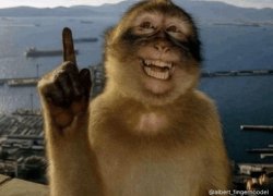 erm actually monkey Meme Template