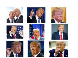 Trump humour today Meme Template
