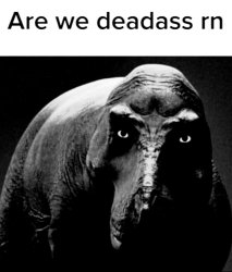 Are we deadass rn Meme Template