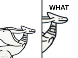 reshiram what Meme Template
