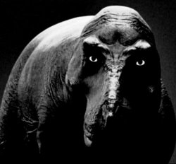 Grayscale Trex Meme Template