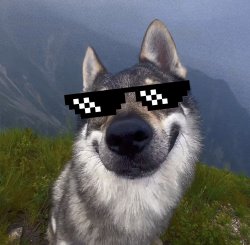 Swag wolf Meme Template