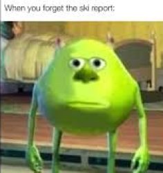 Asch's Line Study Meme Template