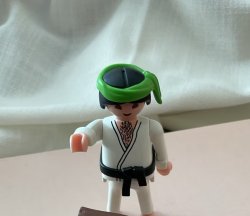 Playmobil karate Meme Template