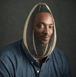 Sonflower Seed Meme Template