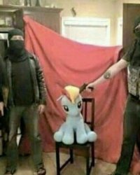 Whare is rainbow dash Meme Template