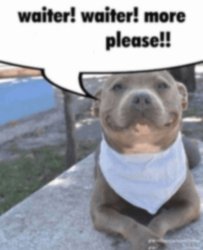 Waiter! Waiter! Meme Template