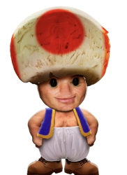 Realistic Toad Meme Template