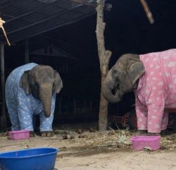 You're home late again? Meme Template