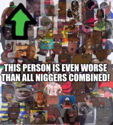 This Person is even worse than all N...... combined! Meme Template