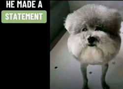 he made a statement Meme Template