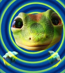 blinker checkpoint Meme Template