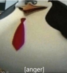Fat penguin angry Meme Template