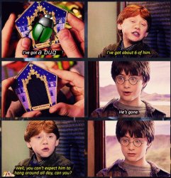 Irreproducible bug Meme Template