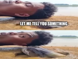 Lemme tell you something fish Meme Template