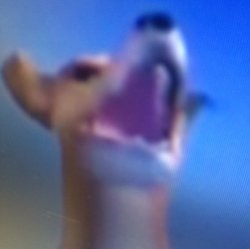 dog of wisdom Meme Template