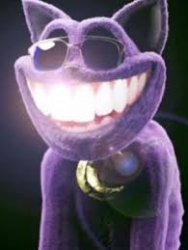 cool cat nap Meme Template