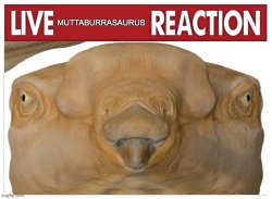 Live Muttaburrasaurus Reaction Meme Template