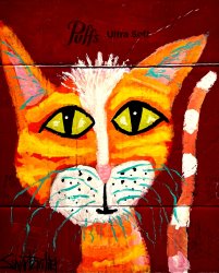 YELLOW CAT Meme Template