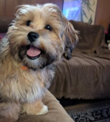 Larue smile Meme Template