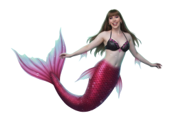 Mermaid Gamer Meme Template