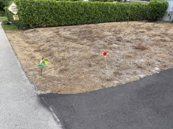 When Bones McCoy Is Your Lawn Doctor Meme Template