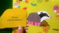 Blaireau Meme Template