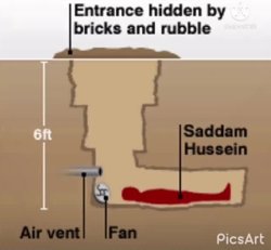 saddam hussin hiding place Meme Template
