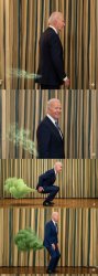 Biden farts Meme Template