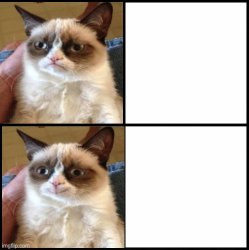 Grumpy cat drake Meme Template