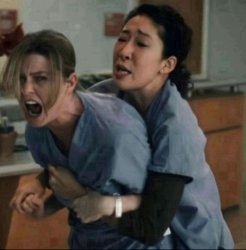 Christina and Meredith Meme Template